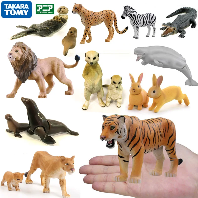 Em promoção! A TAKARA TOMY Selvagem Mundo Animal Modelo de Brinquedos Mar  Leão Mata o Rei de Tigre a Figura de Ação de Macaco Coelho Zebra Boneca  Bebê Presentes Crianças / Ação